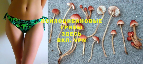 хмурый Горно-Алтайск