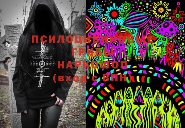 прущий лед Михайлов