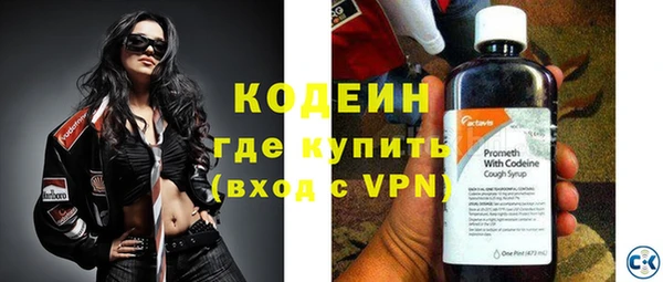 хмурый Горно-Алтайск