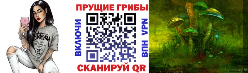 Псилоцибиновые грибы Magic Shrooms  мега как зайти  Нязепетровск 