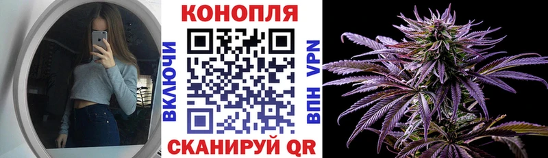 Марихуана сатива  OMG как зайти  Нязепетровск  что такое  